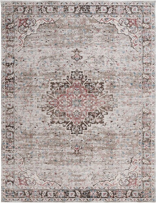 Safavieh Antique Patina ANP642 Beige / Brown Area Rug