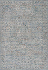 Safavieh Antique Patina ANP656M Blue / Ivory Area Rug main image