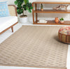 Safavieh Aspect APE402 Natural / Ivory Area Rug Room Scene Feature