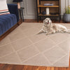 Safavieh Aspect APE406 Natural Area Rug Room Scene Feature