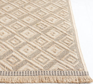 Safavieh Aspect APE410 Natural / Ivory Area Rug