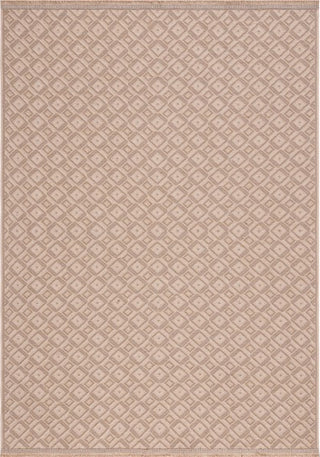 Safavieh Aspect APE410 Natural / Ivory Area Rug