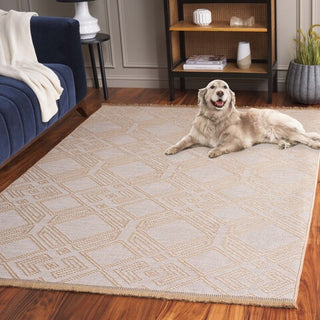 Safavieh Aspect APE456 Ivory / Natural Area Rug Room Scene Feature