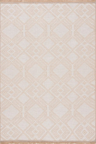 Safavieh Aspect APE456 Ivory / Natural Area Rug