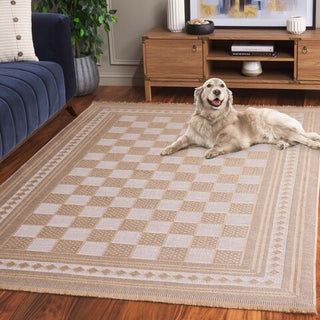 Safavieh Aspect APE458 Natural / Ivory Area Rug Room Scene Feature