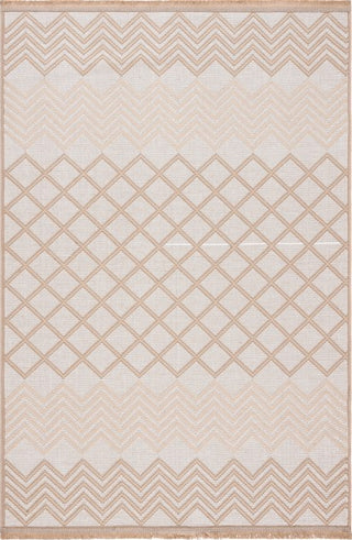 Safavieh Aspect APE460 Ivory / Natural Area Rug