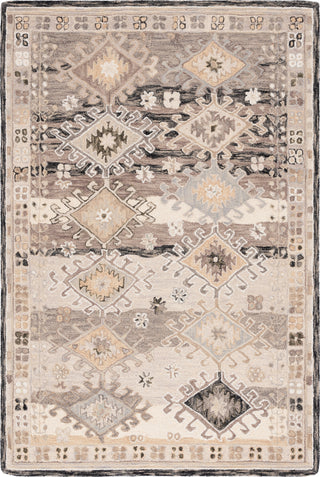 Safavieh Aspen APN105H Charcoal / Beige Area Rug Main