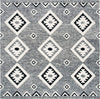 Safavieh Aspen APN814Z Black / Ivory Area Rug Square