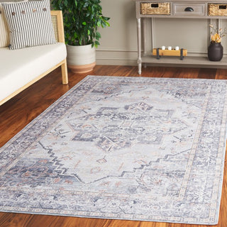 Safavieh Arizona ARZ137 Grey / Light Machine Washable Area Rug