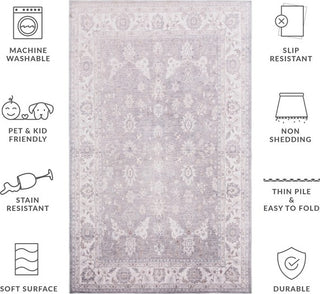 Safavieh Arizona ARZ197 Grey / Ivory Machine Washable Area Rug