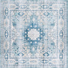 Safavieh Arizona ARZ512 Sage / Aqua Machine Washable Area Rug