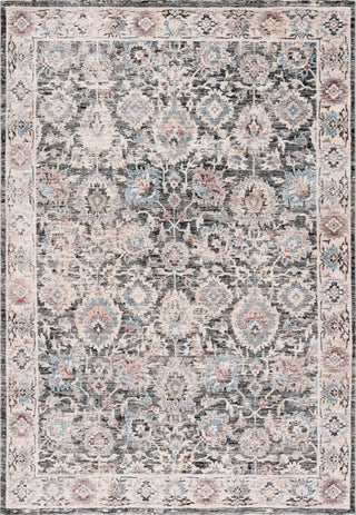 Safavieh Artifact ATF558H Charcoal / Ivory Area Rug main image