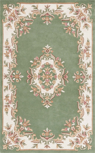 Safavieh Aubusson AUB301Y Green / Ivory Area Rug main image