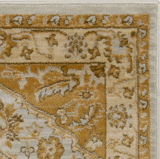 Safavieh Austin AUS1580 Light Grey / Gold Area Rug 