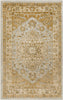 Safavieh Austin AUS1580 Light Grey / Gold Area Rug main image