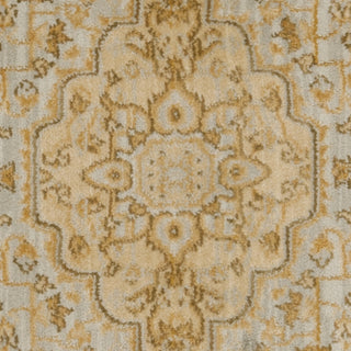 Safavieh Austin AUS1580 Light Grey / Gold Area Rug 