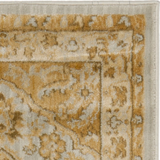 Safavieh Austin AUS1580 Light Grey / Gold Area Rug 