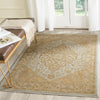 Safavieh Austin AUS1580 Light Grey / Gold Area Rug Room Scene