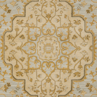 Safavieh Austin AUS1580 Light Grey / Gold Area Rug 