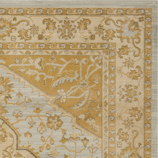 Safavieh Austin AUS1580 Light Grey / Gold Area Rug 
