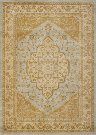 Safavieh Austin AUS1580 Light Grey / Gold Area Rug Main