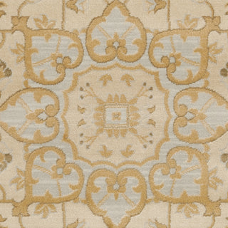 Safavieh Austin AUS1580 Light Grey / Gold Area Rug 