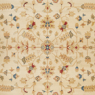 Safavieh Austin AUS1610 Cream / Navy Area Rug