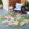 Safavieh Barbados BAR516 Green / Pink Area Rug