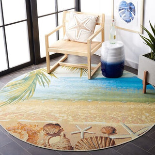 Safavieh Barbados BAR555 Gold / Blue Area Rug