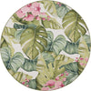 Safavieh Barbados BAR596 Green / Pink Area Rug