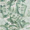 Safavieh Barbados BAR598 Green / Teal Area Rug