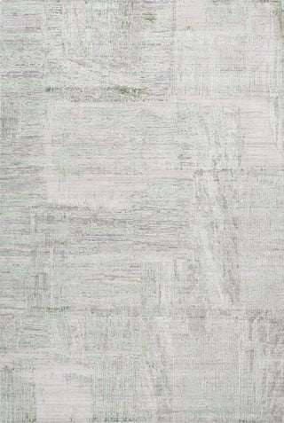 Safavieh Bedford BFD101Y Grey / Green Area Rug main image