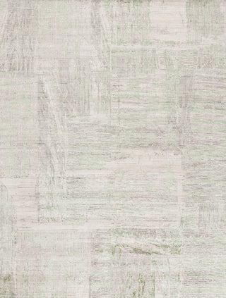 Safavieh Bedford BFD101Y Grey / Green Area Rug Main