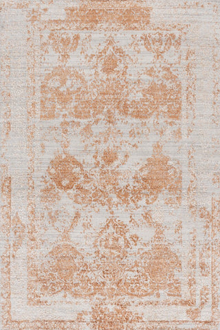 Safavieh Bedford BFD102P Beige / Rust Area Rug main image