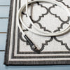 Safavieh Beach House BHS121 Light Grey / Charcoal Area Rug