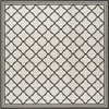 Safavieh Beach House BHS121 Light Grey / Charcoal Area Rug