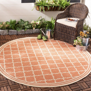 Safavieh Beach House BHS121 Rust / Creme Area Rug