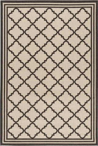 Safavieh Beach House BHS121 Creme / Brown Area Rug