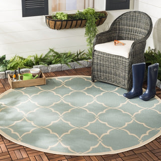 Safavieh Beach House BHS125 Aqua / Cream Area Rug