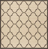 Safavieh Beach House BHS125 Creme / Brown Area Rug