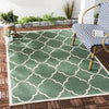 Safavieh Beach House BHS125 Green / Creme Area Rug