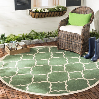 Safavieh Beach House BHS125 Green / Creme Area Rug