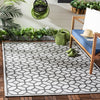 Safavieh Beach House BHS127 Light Grey / Charcoal Area Rug