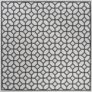 Safavieh Beach House BHS127 Light Grey / Charcoal Area Rug