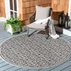 Safavieh Beach House BHS134 Light Grey / Charcoal Area Rug