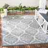 Safavieh Beach House BHS135 Cream / Blue Area Rug