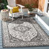 Safavieh Beach House BHS137 Light Grey / Charcoal Area Rug