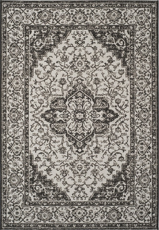 Safavieh Beach House BHS137 Light Grey / Charcoal Area Rug