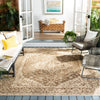 Safavieh Beach House BHS137 Beige / Cream Area Rug