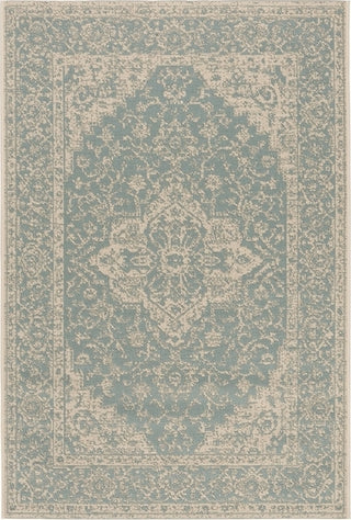 Safavieh Beach House BHS137 Aqua / Cream Area Rug